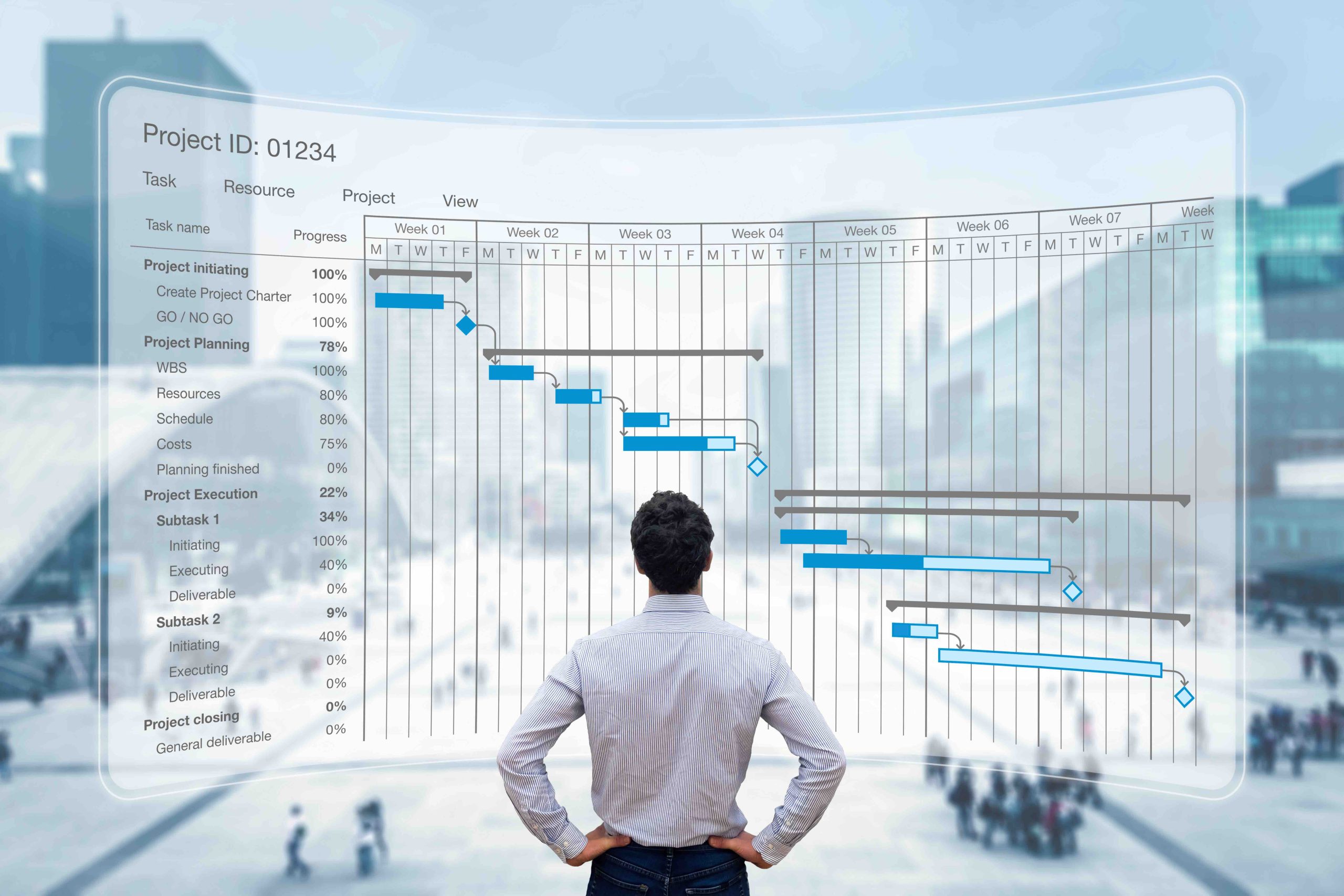  Project Management Office (PMO)